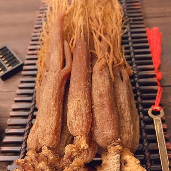 Red Ginseng Root,Red Ginseng Korea,Red Ginseng Tea Korean Red Ginseng Root,Organic Red Korean Ginseng Root,Red Ginseng Root 16 Years Radix Ginseng