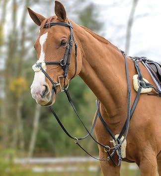Avignon Five Point Breastplate Cob, Black