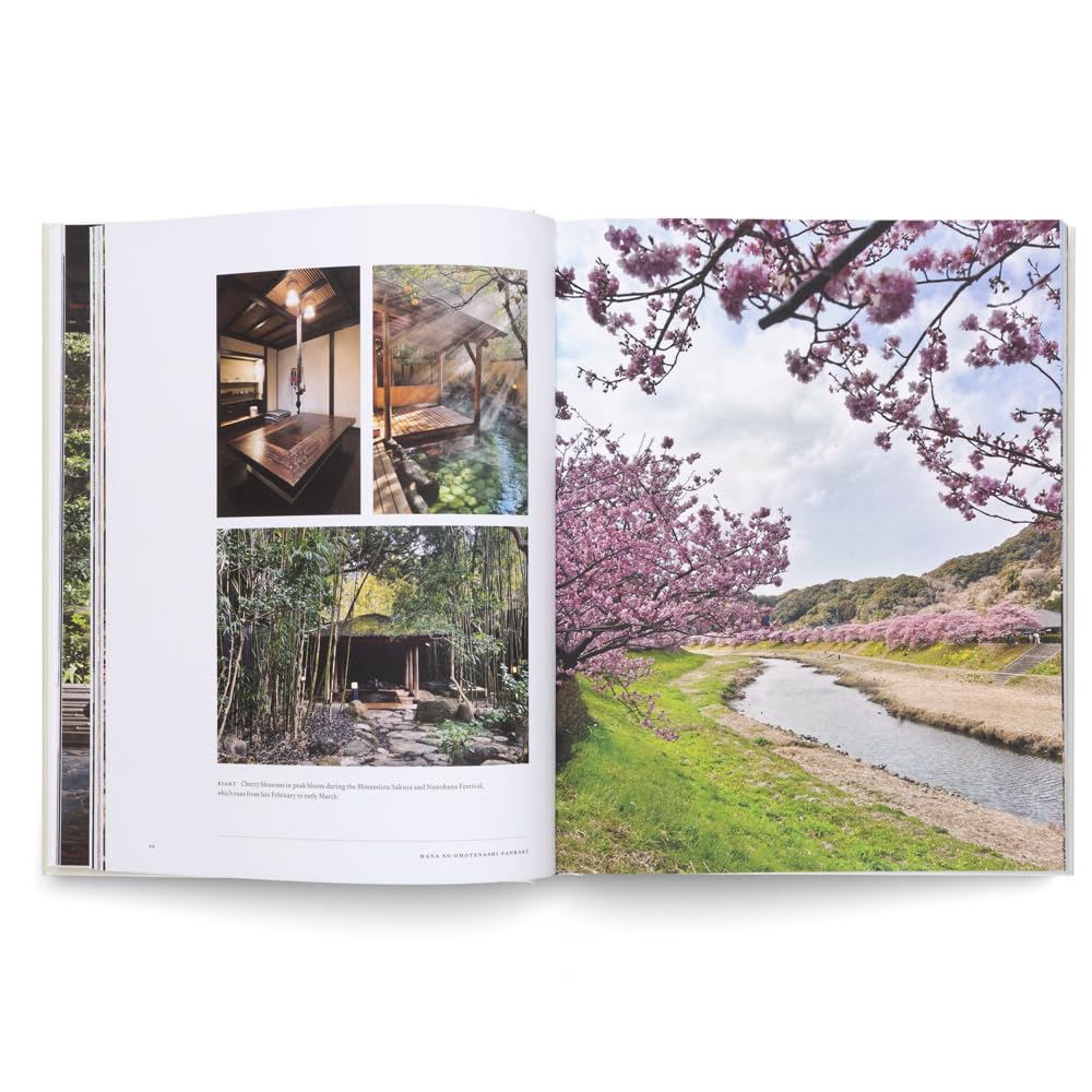 Onsen and Ryokans of Japan: Traditional Spa and Bathing Culture