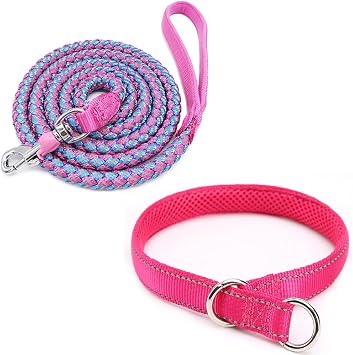 Reflective Dog Choke Collar Pink+ 6 Foot Reflective Dog Leash Pink