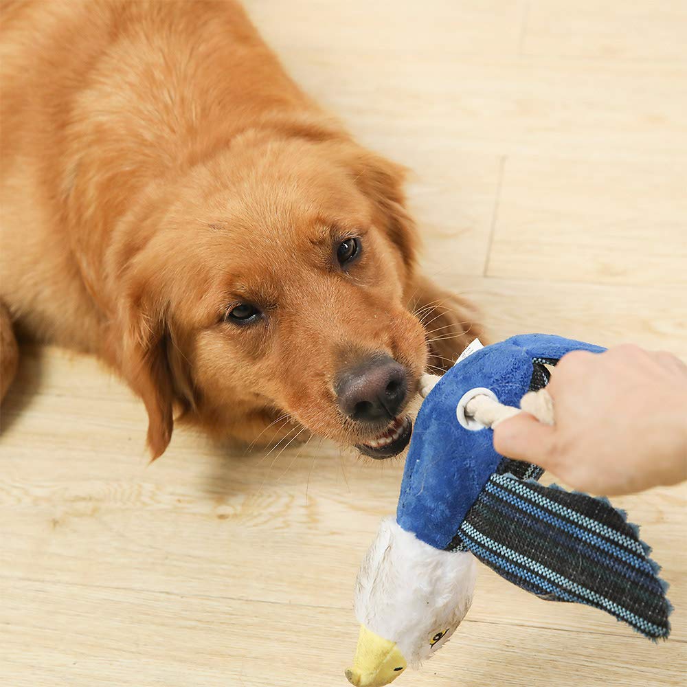 Sedioso - Set di 3 giocattoli interattivi per cani, per la noia, simpatici giocattoli da masticare per cuccioli, piccoli, medi e grandi razze