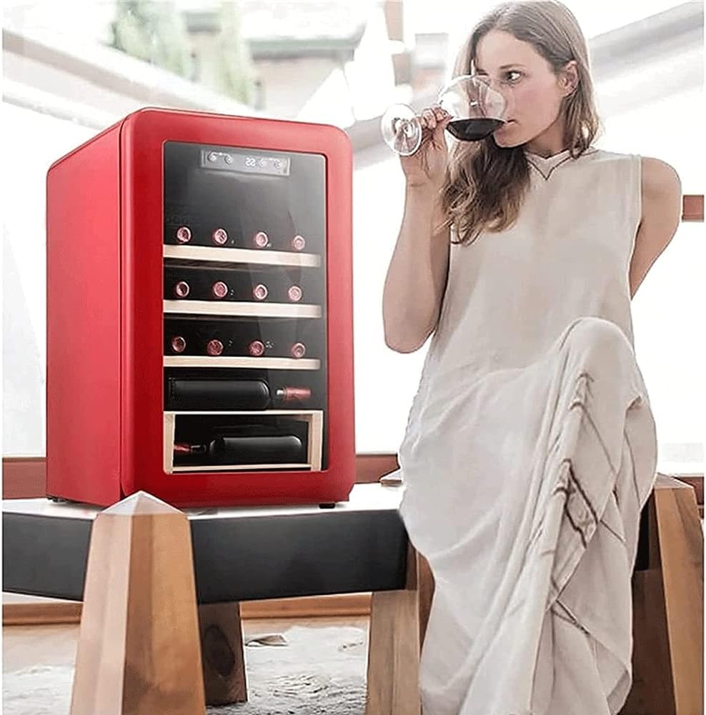 64L Compressor Wine Cooler Refrigerator W/Lock | Large Freestanding Wine Cellar | 41f-64f Digital Temperature Control Wine Fridge for Champagne or Sparkling Wine