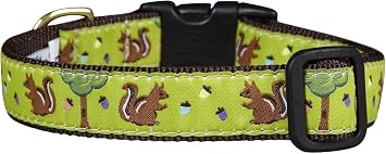Up Country Nuts Pattern Dog Collar, X-Small 6 To 12 Inches 5/8 Inch Narrow Width