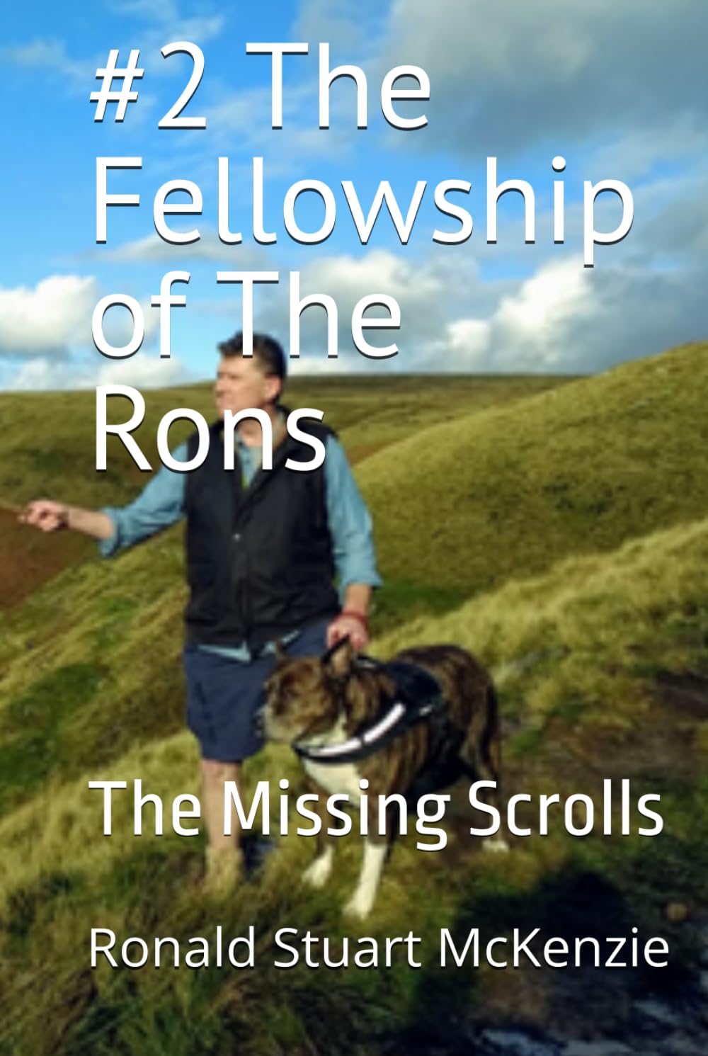 #2 The Fellowsip of The Rons: The Missing Scrolls (The Chronic Chronicles of The Rons)