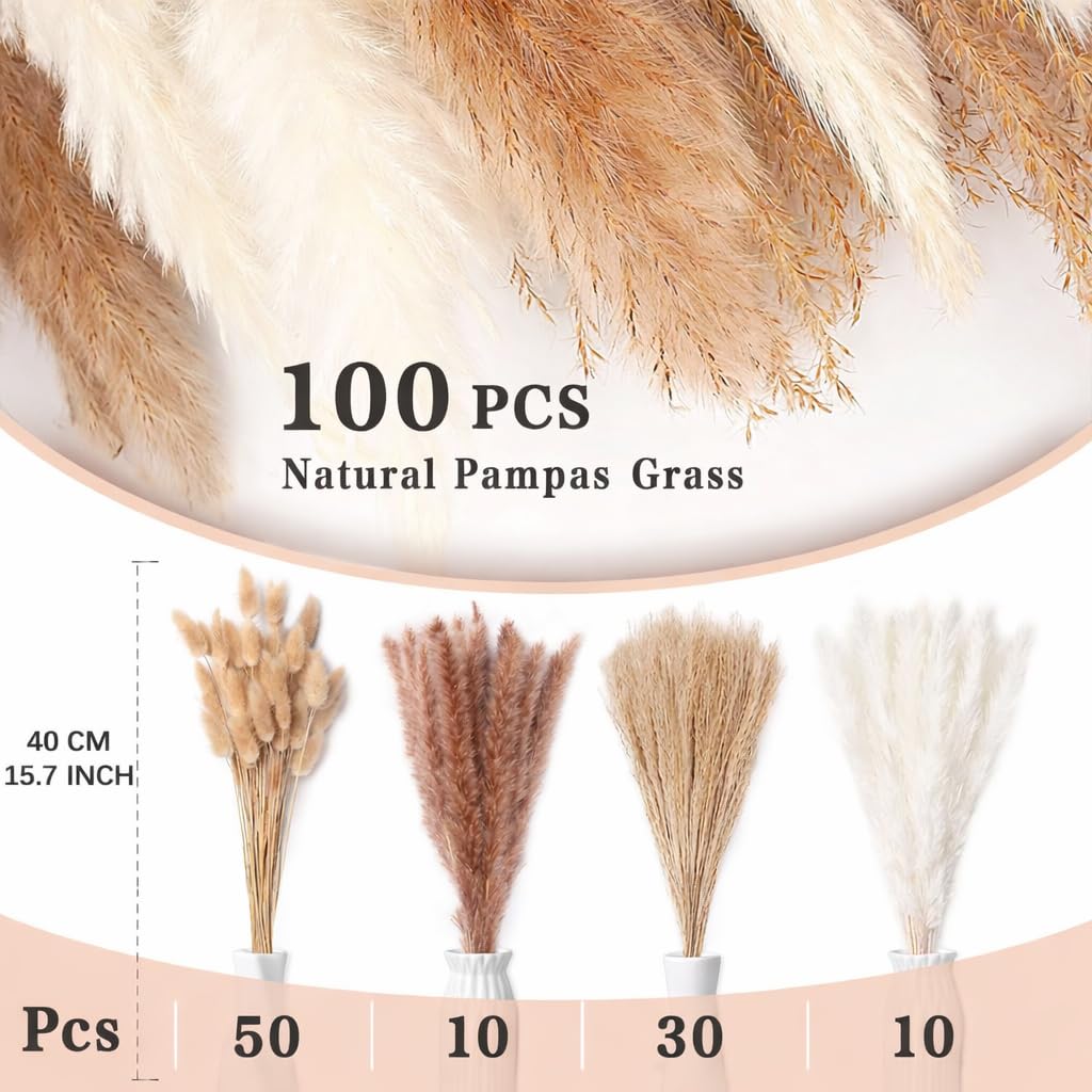 Qlect Home Decor 100 Pcs Set 17inch Natural Dried Pampas Grass,Real Rabbit Bunny Tail,Reed Pampas,Boho Bouquet,Artificial Flowers Decor for Table Vase Home Decoration. (100 Pcs Dried Flower Set)