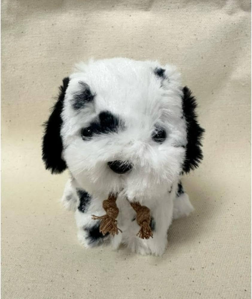 Amazon.co.jp: たけのこ キャンディフォンテーヌ ダルメシアン