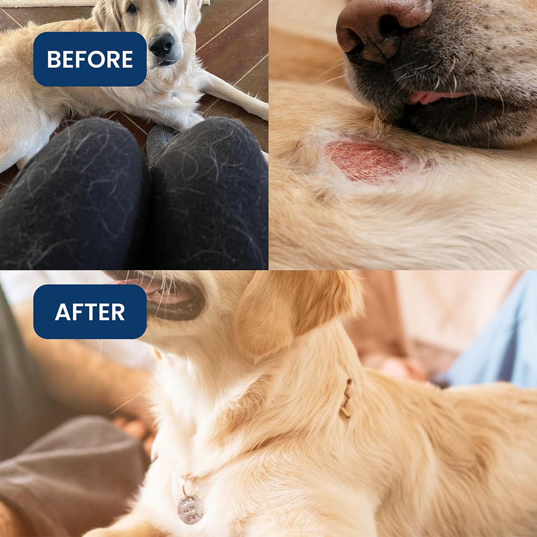 Absolut Pet Skin & Coat Dog Chews, Omega Biotin, Less Shedding | 30 Chews 4