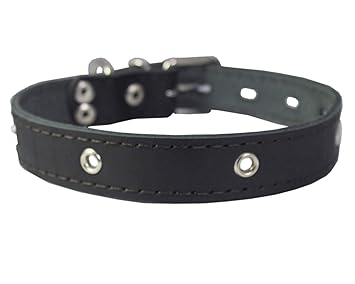 Genuine Leather Studded Dog Collar, Black, 1