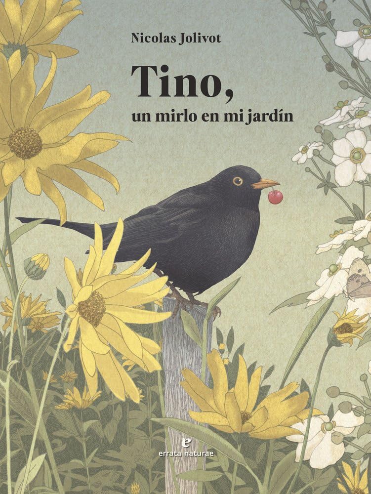 Tino, un mirlo en mi jardín (VARIOS)