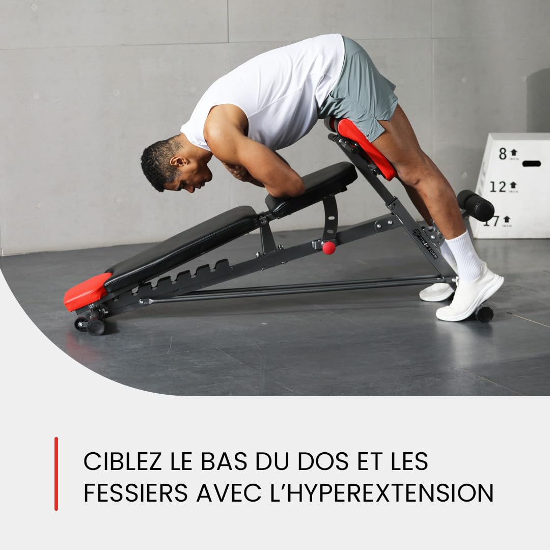Finer Form Banc multifonction pour entraînement complet - tout-en-un - Extension lombaire, Chaise romaine, Banc de sit-up réglable - Incliné, plat et décliné - avec haltères ou pour développé couché