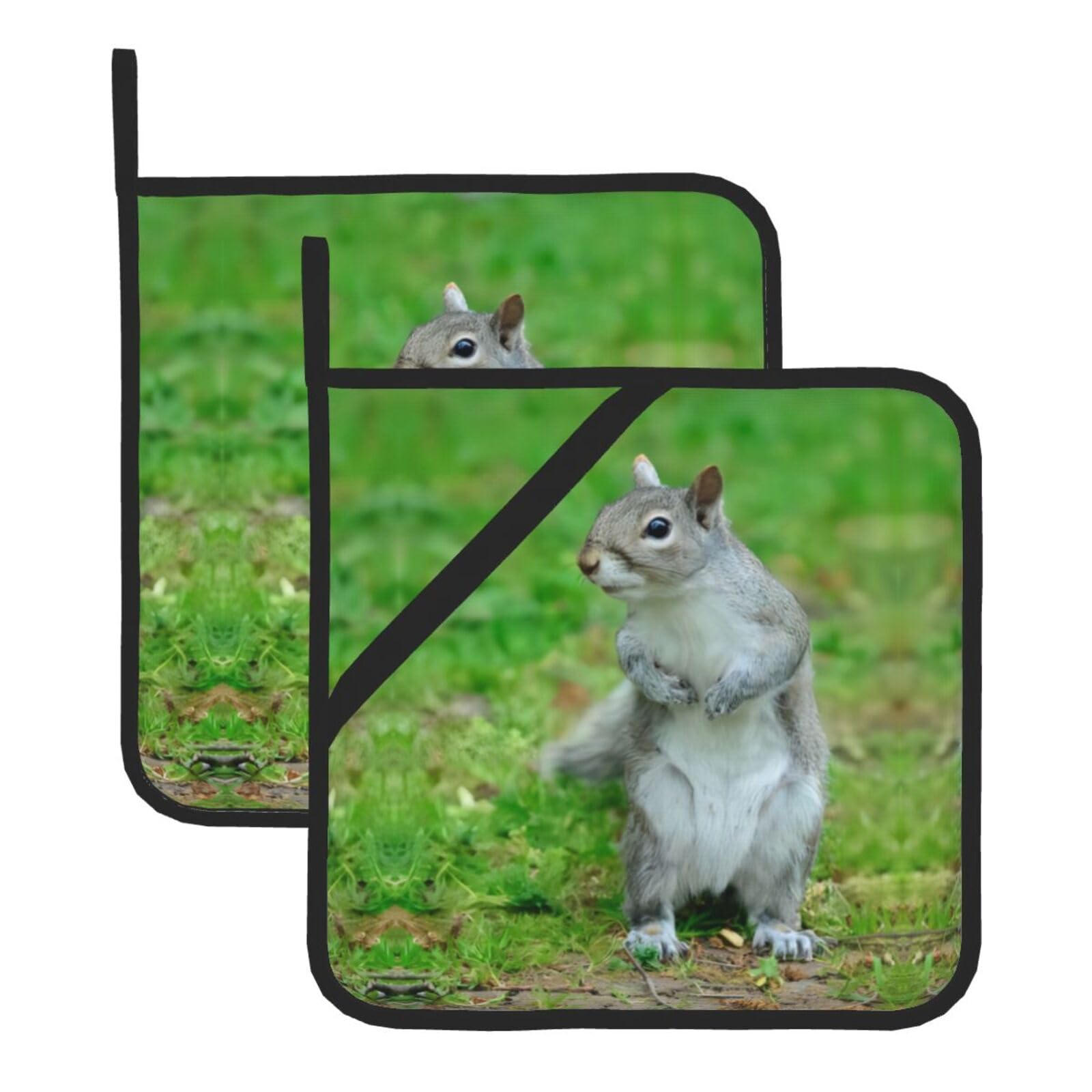 WHJSSF Squirrel Prints Square Pot Holders - Heat Resistant Kitchen Trivets 2-Pack - Waterproof Covers for Hot Dishes, Oven & Grill with Hanging Loop