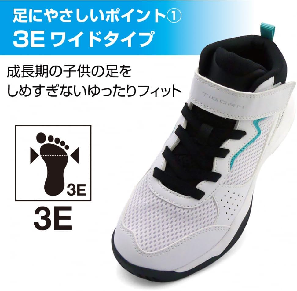 美品 掛け軸 臼田弘毅作 京洛冬景図 金閣寺 共箱 花鳥 南天 縁起物