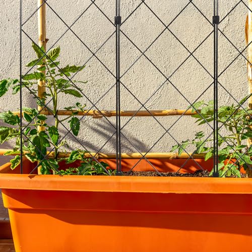 Support pour plantes grimpantes fer cadre fixe pliable de jardin BESTonZON