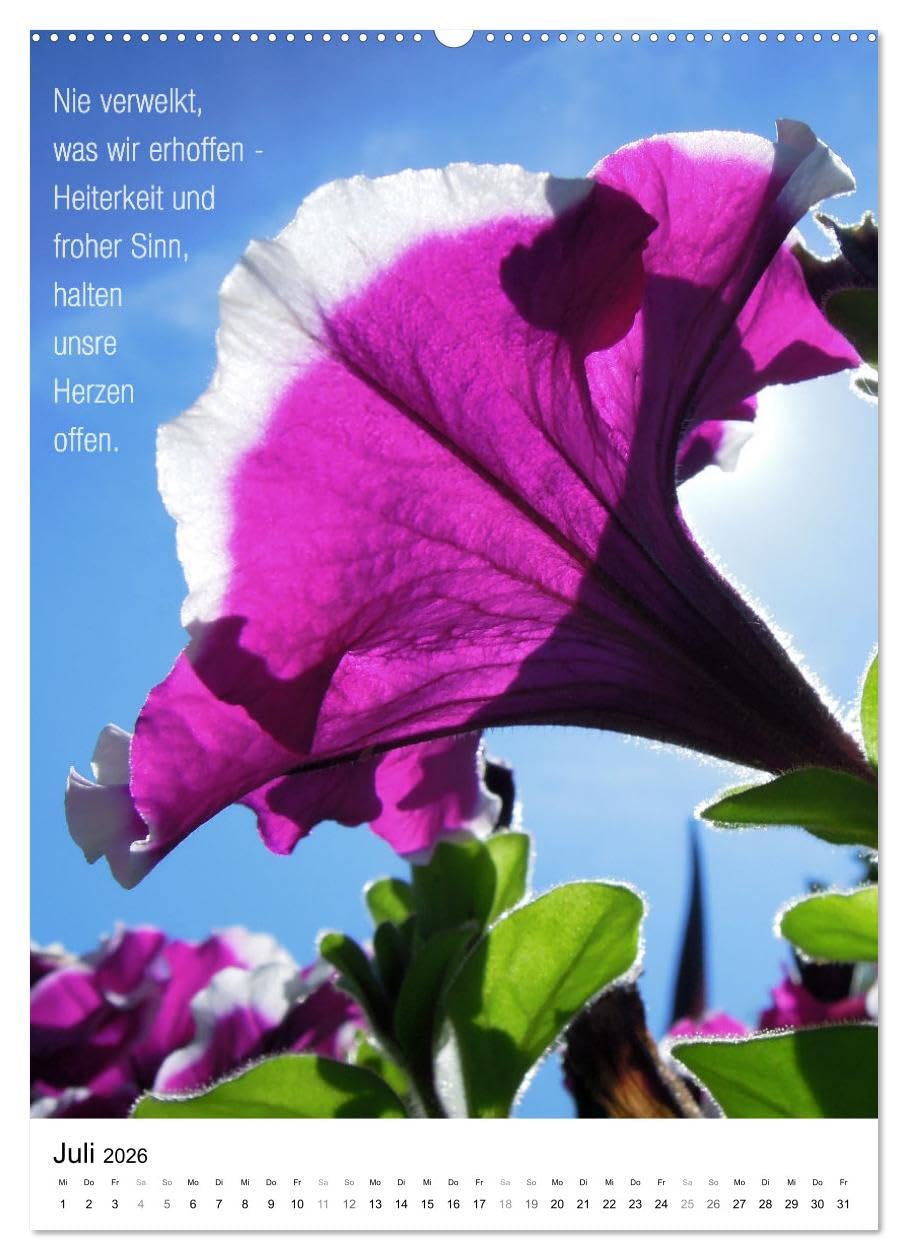 Licht Farbe Natur (hochwertiger Premium Wandkalender 2026 DIN A2 hoch), Kunstdruck in Hochglanz: Poetischer Kalender für lichte Momente (CALVENDO Natur)