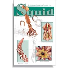 Anatomy Lab Soft Cover Squid Dissection Guide Book