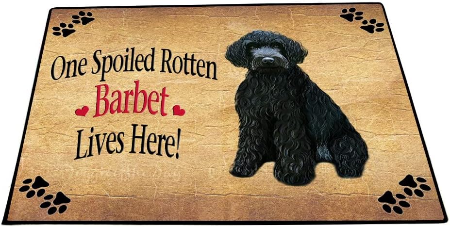 Doggie of the Day Barbet Dog Floor Mat - Spoiled Rotten - Best Dog Doormat - Protector Decor - Unique Portrait Art - Premium Quality Decoration, 18"x24"