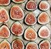 HEIRLOOM NON GMO Honey Fig 10 Seeds