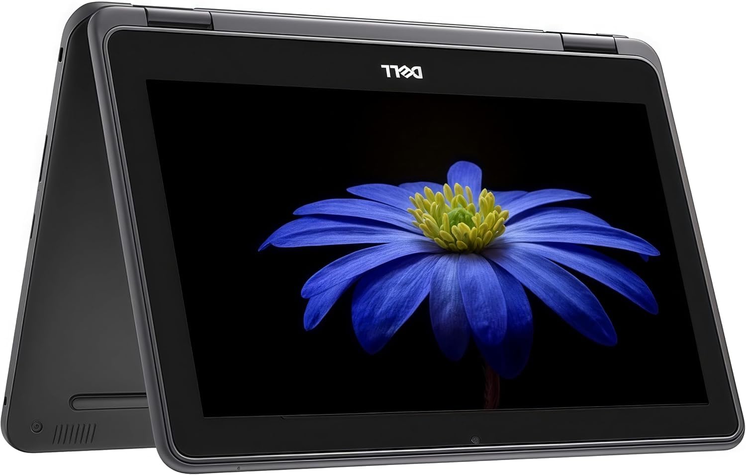 Amazon.com: (Refurbished) Dell Chromebook 3100 2-in-1 11.6