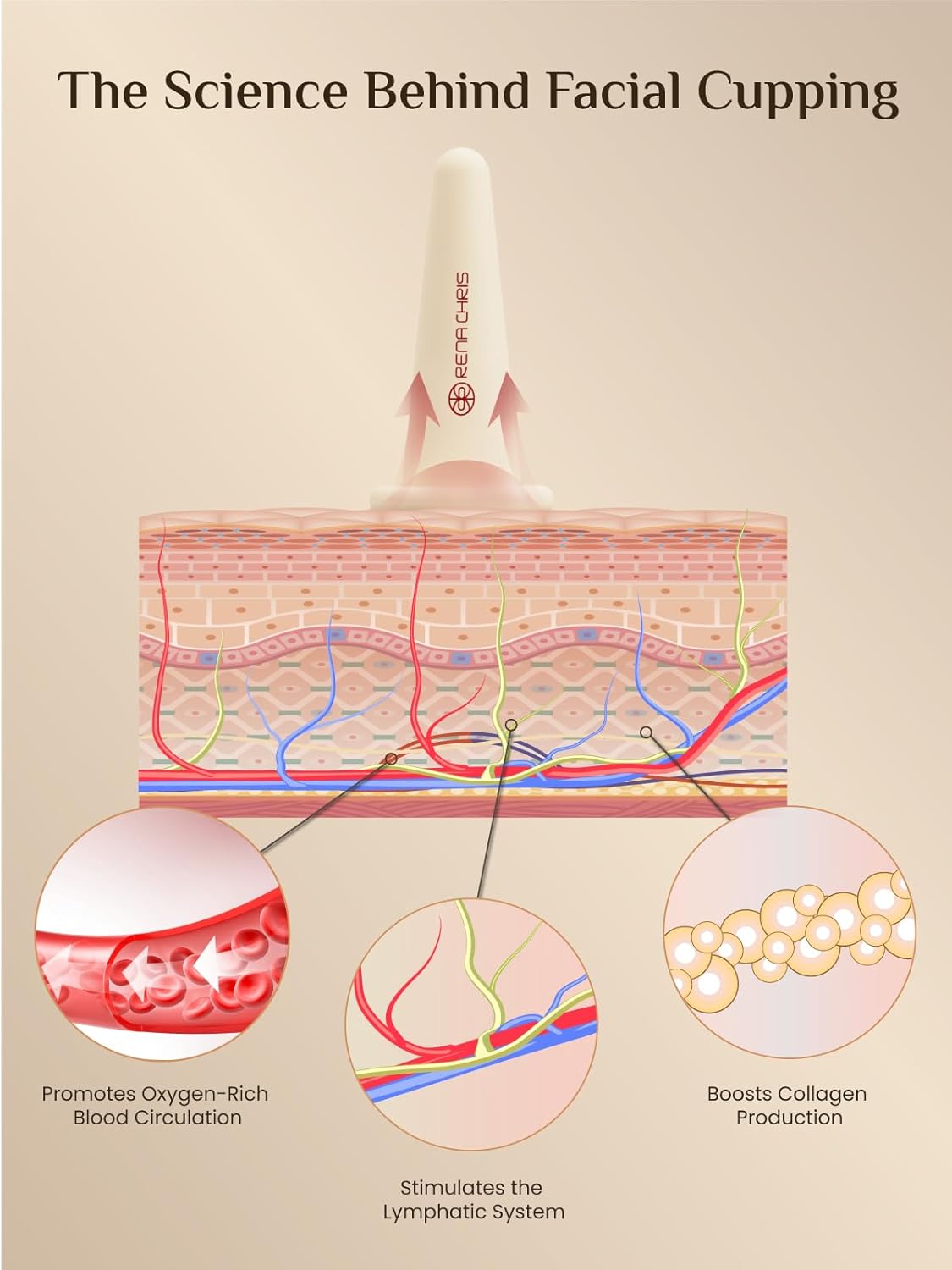 Rena Chris Facial Cupping Set & Gua Sha Facial Tool - Silicone Cupping Set & Rose Quartz Gua Sha Stone - Face Cupping Therapy Set for Natural Skin Care, Puffiness, Lip Plumping(Pink) - Image 4