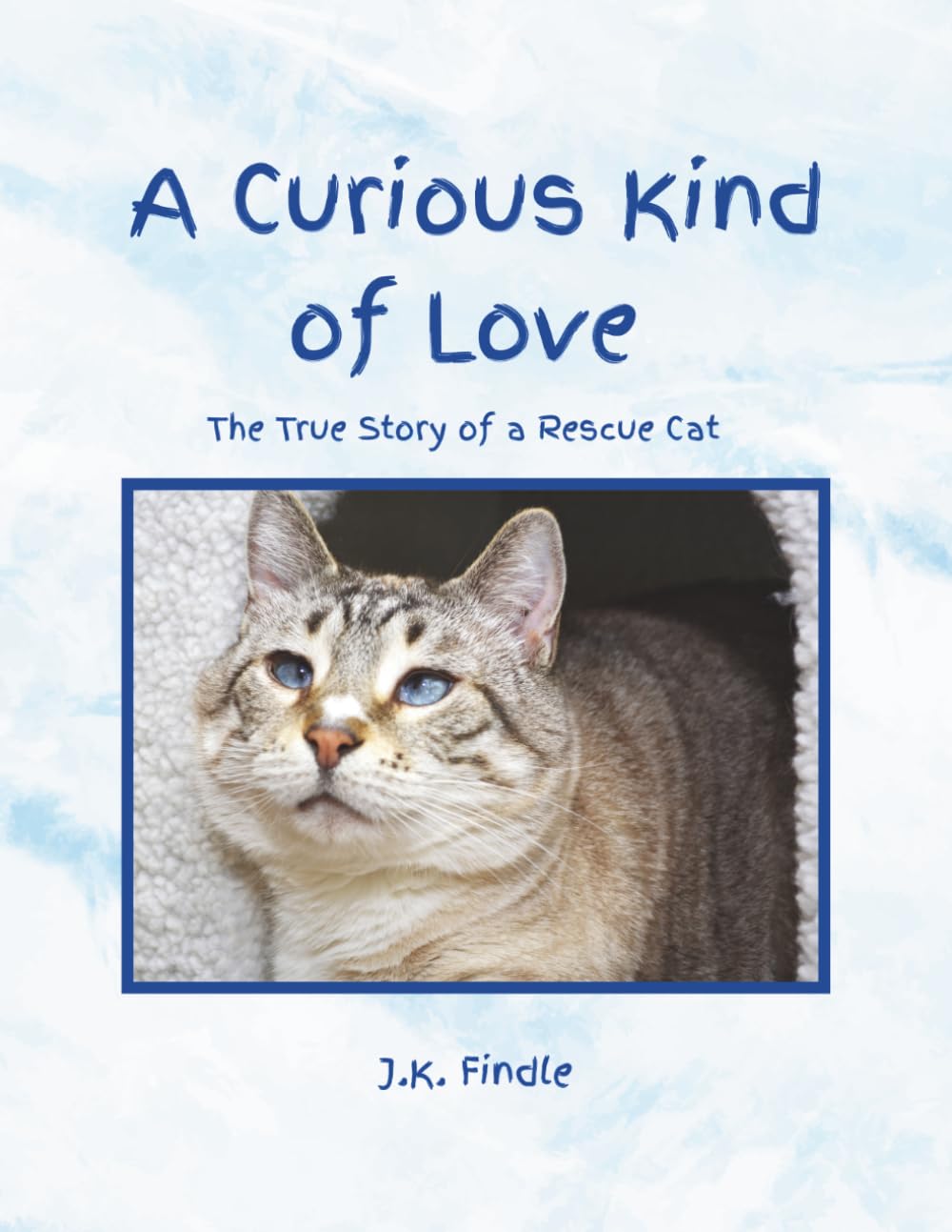 A Curious Kind of Love