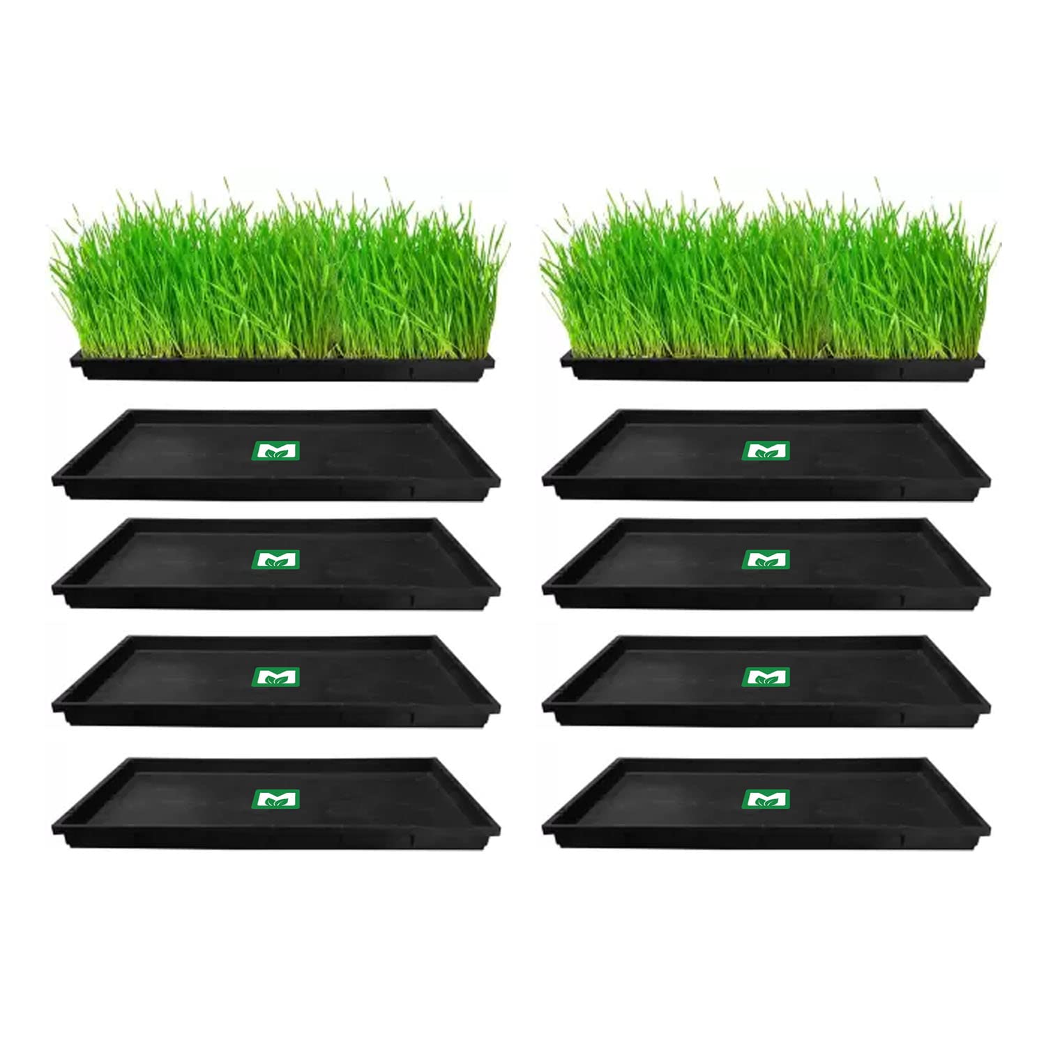 MyOwnGarden Wheat Grass Trays - Growing Microgreen Tray, Hydroponics, Seedling Starter for Greenhouse, Hydroponics, Vegetables, Flower Germination, Paddy Tray, Thick Reusable (Set of 10)