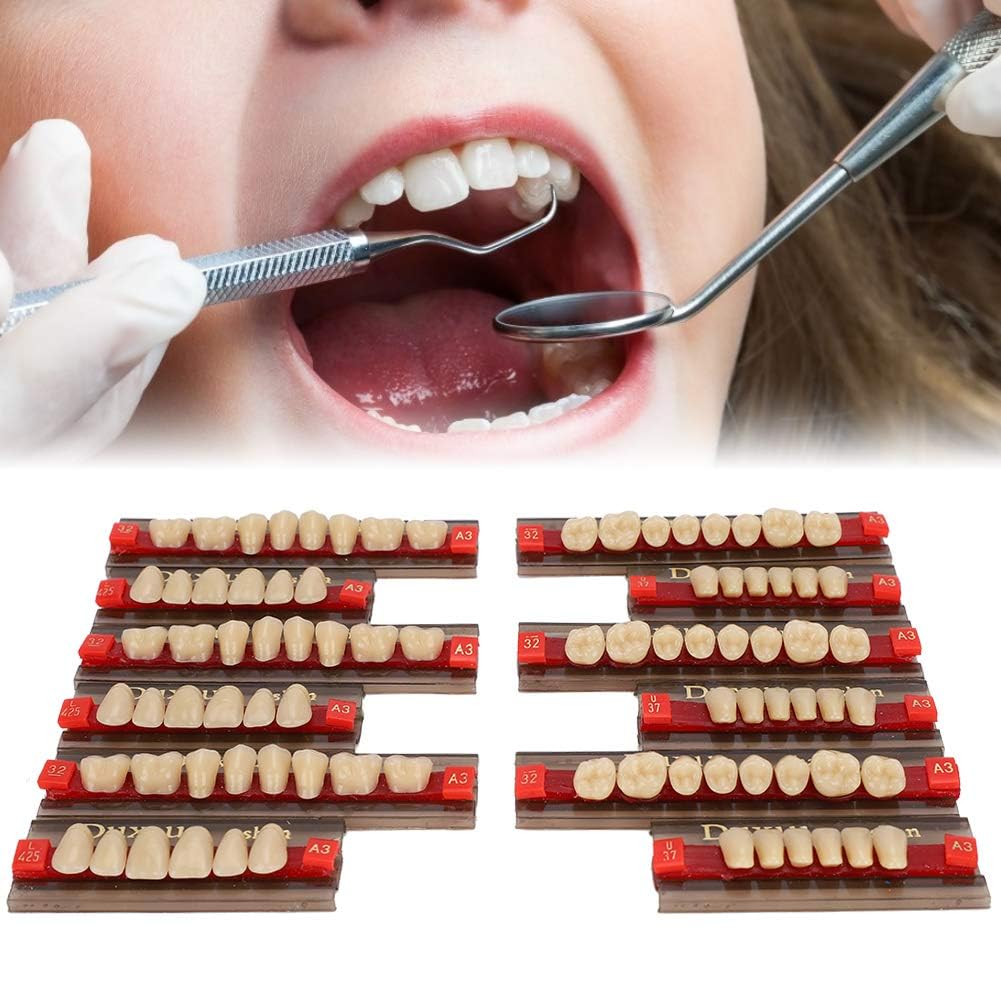 Denti in Resina Sintetica Acrilica per Protesi Dentale, Modelli Dentali, Forniture per Dentisti