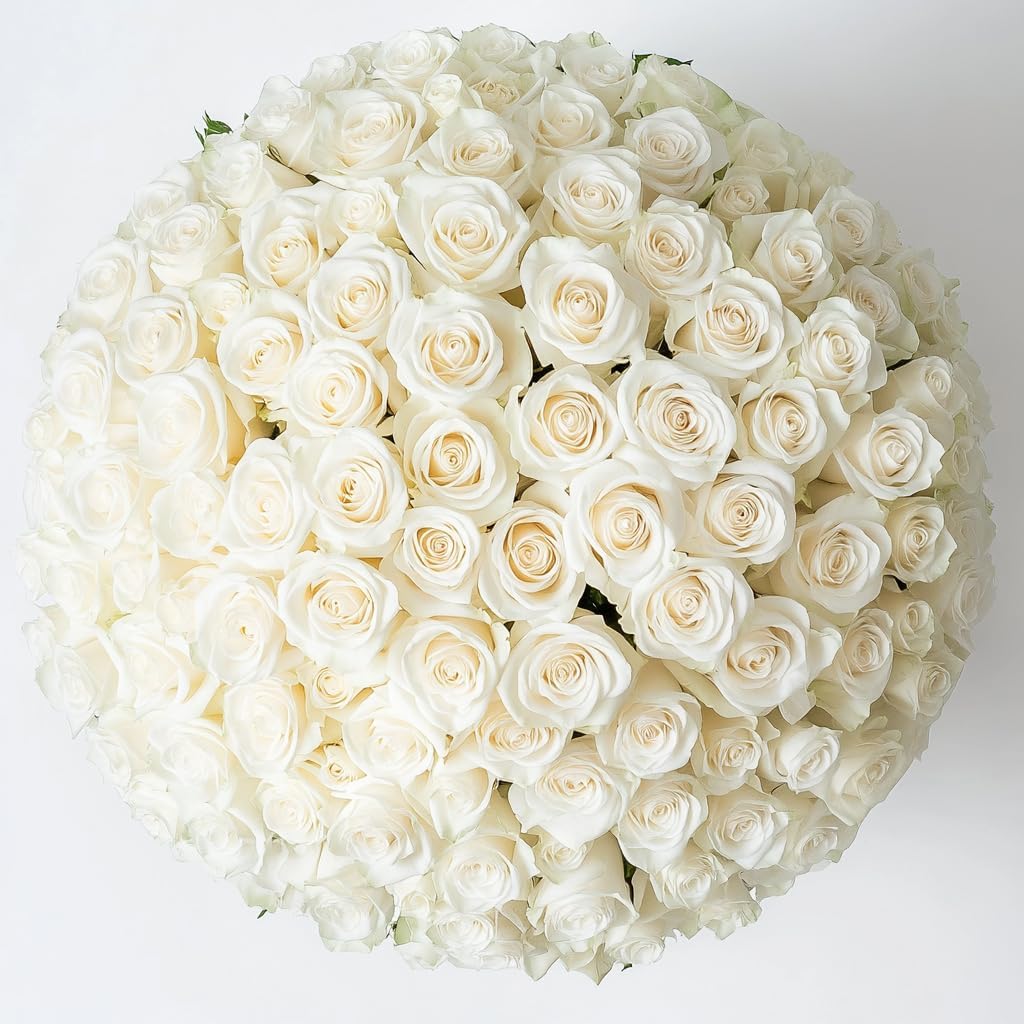 GlobalRose 500 White Roses Bouquet - Responsibly Sourced Roses Fresh Flowers - Hand-Picked Flowers Fresh Bouquet for Graduation, Anniversary, Birthday & Special Occasions (20 Bunches of 25 Stems)