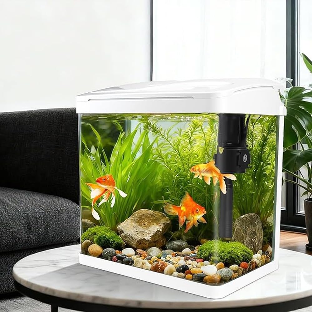 Piccolo acquario per pesci L'acquario da 2 galloni offre un display moderno con struttura in vetro ad trasparenza per Betta Betta da 5 galloni