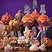 Whaline 24Pcs Halloween Cupcake Toppers 8 Designs Tombstone Graveyard Cake Toppers Scary Cupcake Decoration Table Centerpiece Sticks Appetizer Picks for Party Supplies