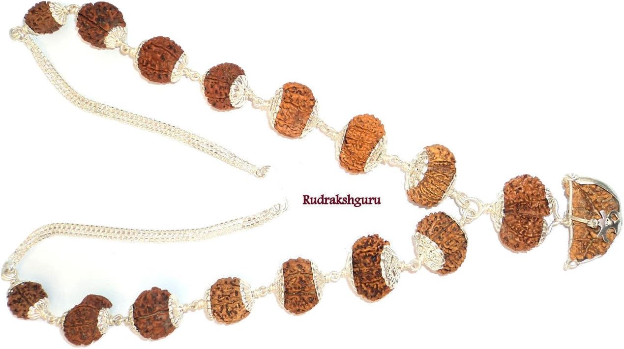 RudrakshguruRudrakshguru Rudraksha Siddha Mala (Brown)