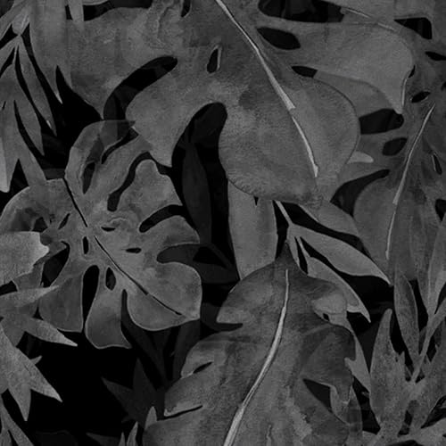 Miniatura 3 de Speedo Pantalones cortos de natación para mujer, Negro (Speedo Black)