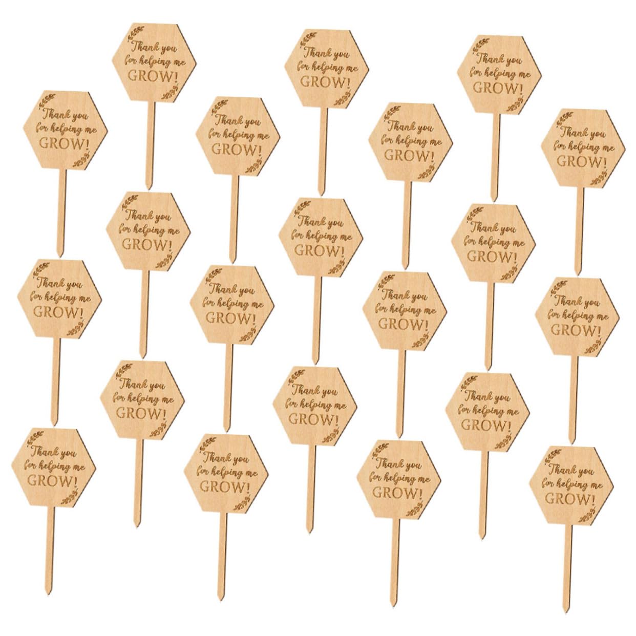 ibasenice 3 Ensembles Étiquette En Bois Étiquettes De La Plante Suspendue Marqueur De Jardin Marqueurs De Plantes De Jardin Étiquettes De Semis Petites Étiquettes De Jardinière 40 Pièces * 3