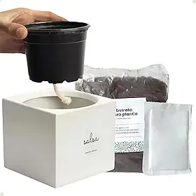 Kit Horta Urbana Vaso Autoirrigavel C/Substrato Semente Hortelã Minimalista Decorativo Branco Cinza Rosa Creme 10cm x 11cm (Cinza Claro)