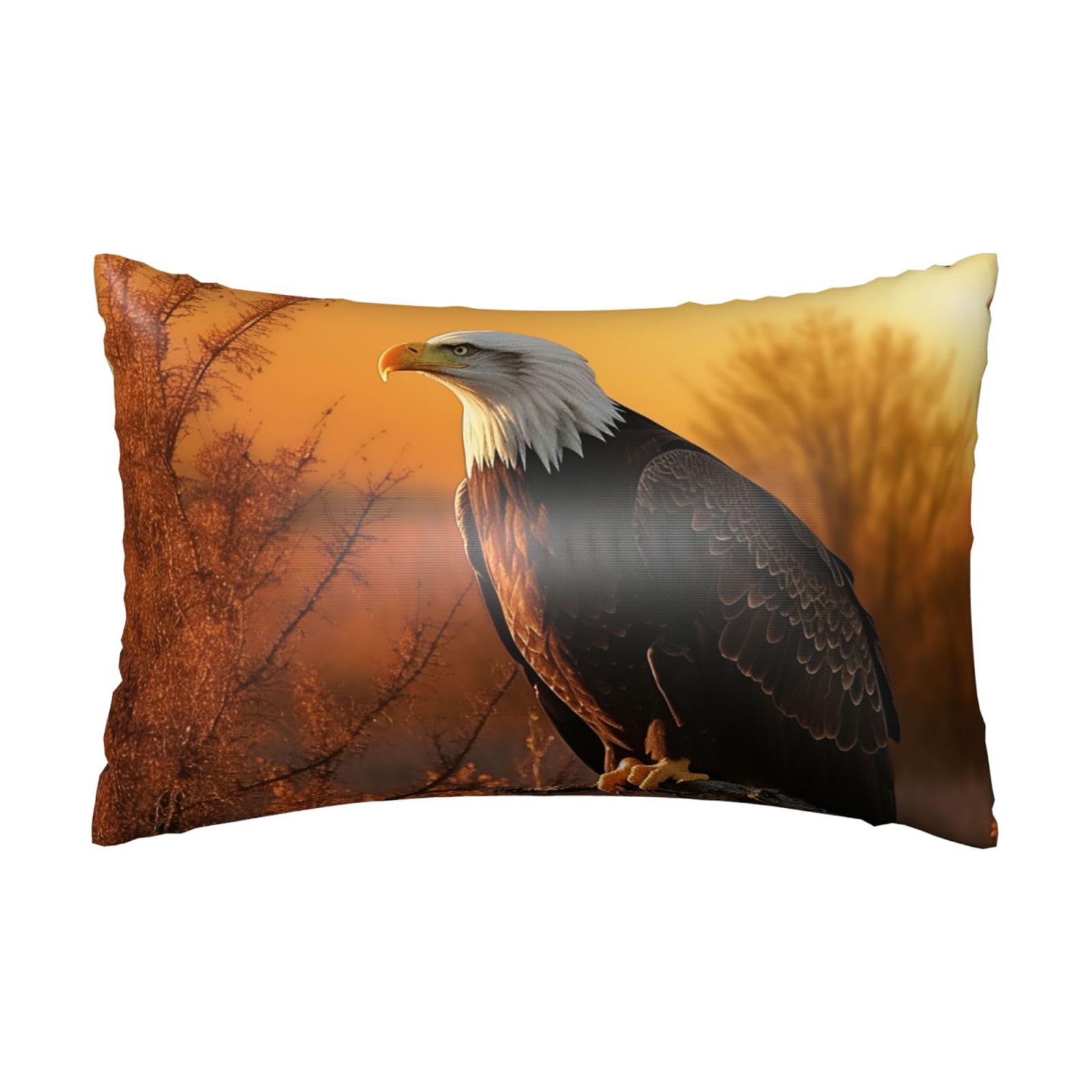Satin Pillowcase for Hair and Skin,Soft Breathable Silk Pillowcase Golden Sunset Bald Eagle Cooling Pillow Cover with Hidden Zipper Queen Size Cushion Case for Bedroom Sofa 20”X30”