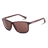 Men's Ck19568s Round Sunglasses