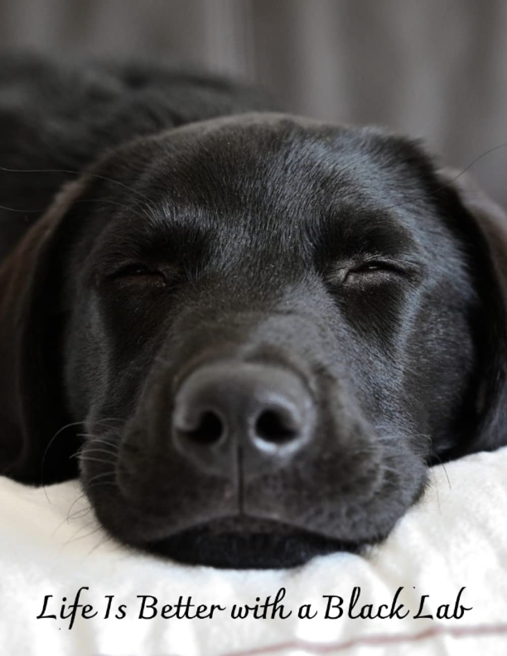 Labrador Retriever - Life Is Better with a Black Lab: Black Labrador Retriever Journal Notebook 120 Lined Pages 8.5 x 11