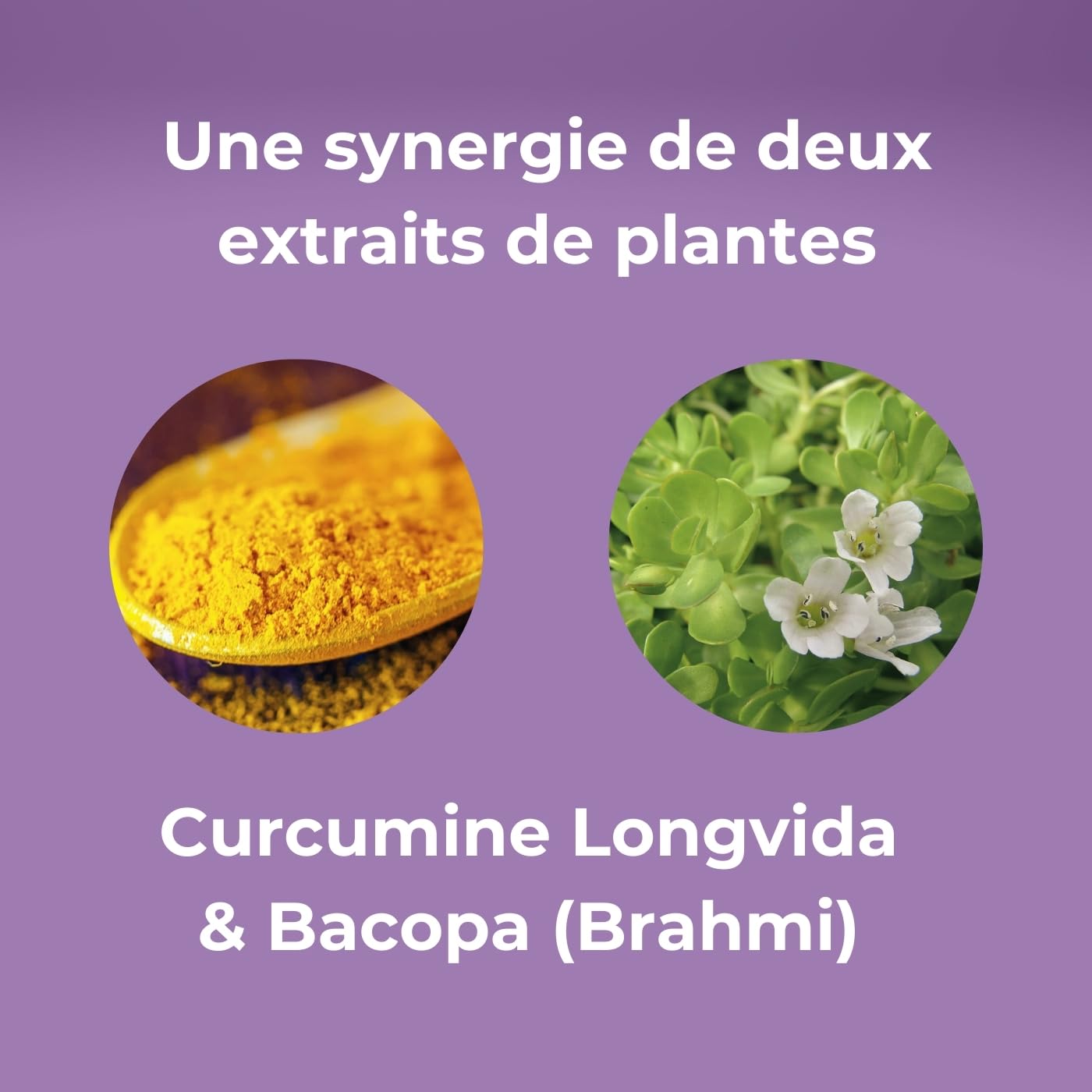 OPTIM Memory Bacopa Monnieri Brahmi et Curcumine Longvida 90 Gélules | Capsules concentration mémoire pour adulte adolescent ou étudiant, Complément alimentaire