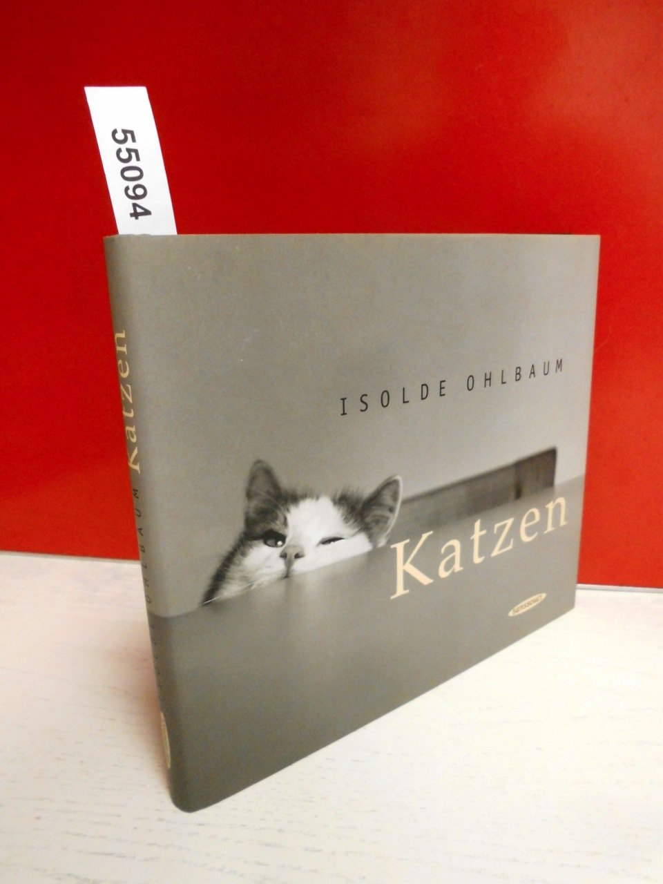 Katzen