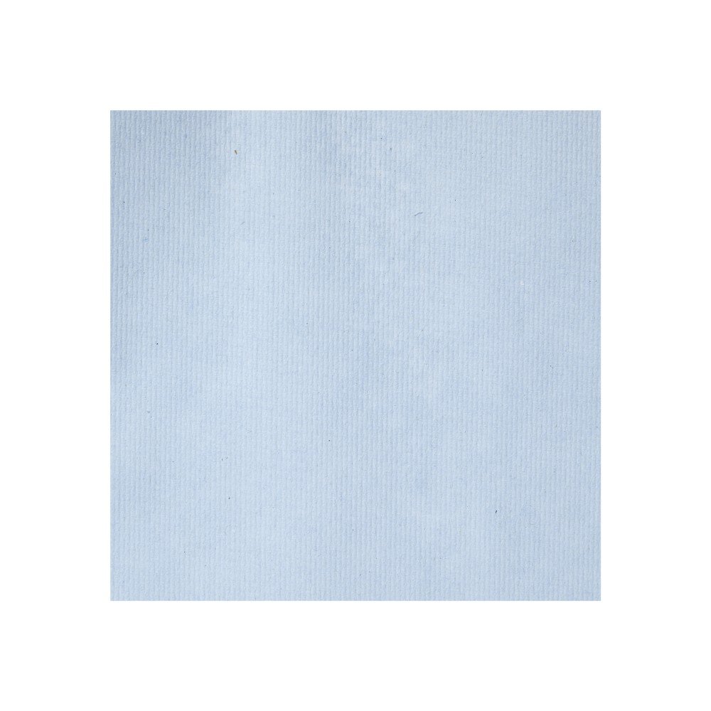 SCOTT* XL Asciugamani 6688 - 6 rotoli da 354 m, 1 velo, colore azzurro