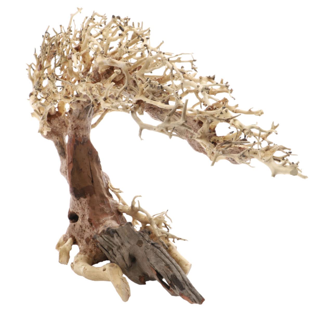 Dupla Root Crooked L, 40 x 20 x 30 cm, raíz hecha a mano para acuarios