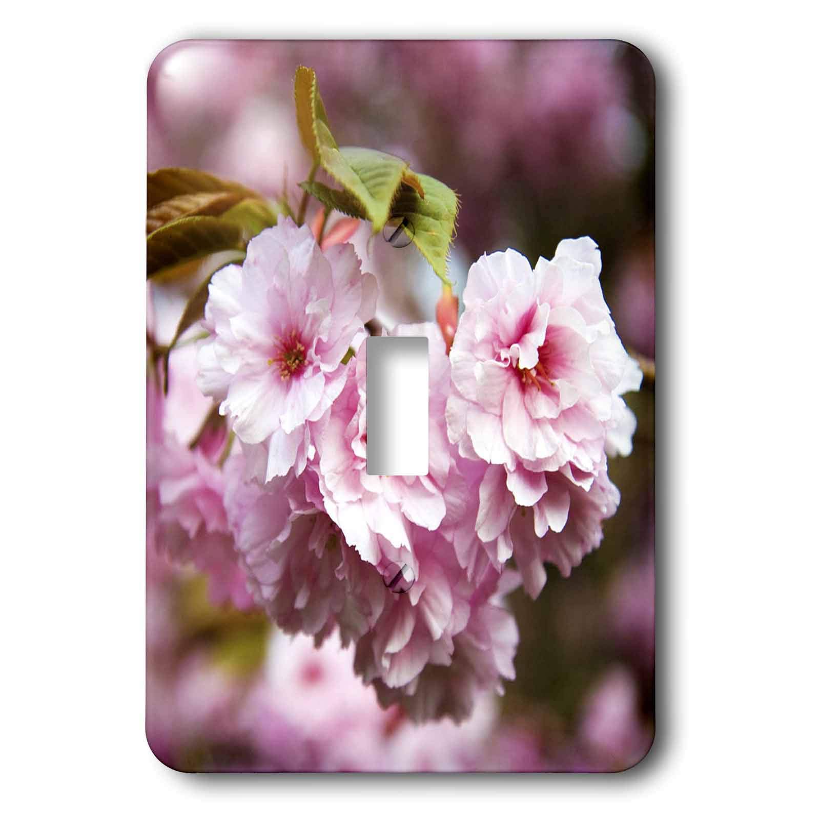 Fleurs de cerisier sur votre interrupteur à baïonnette 3dRose pour une chambre zen
