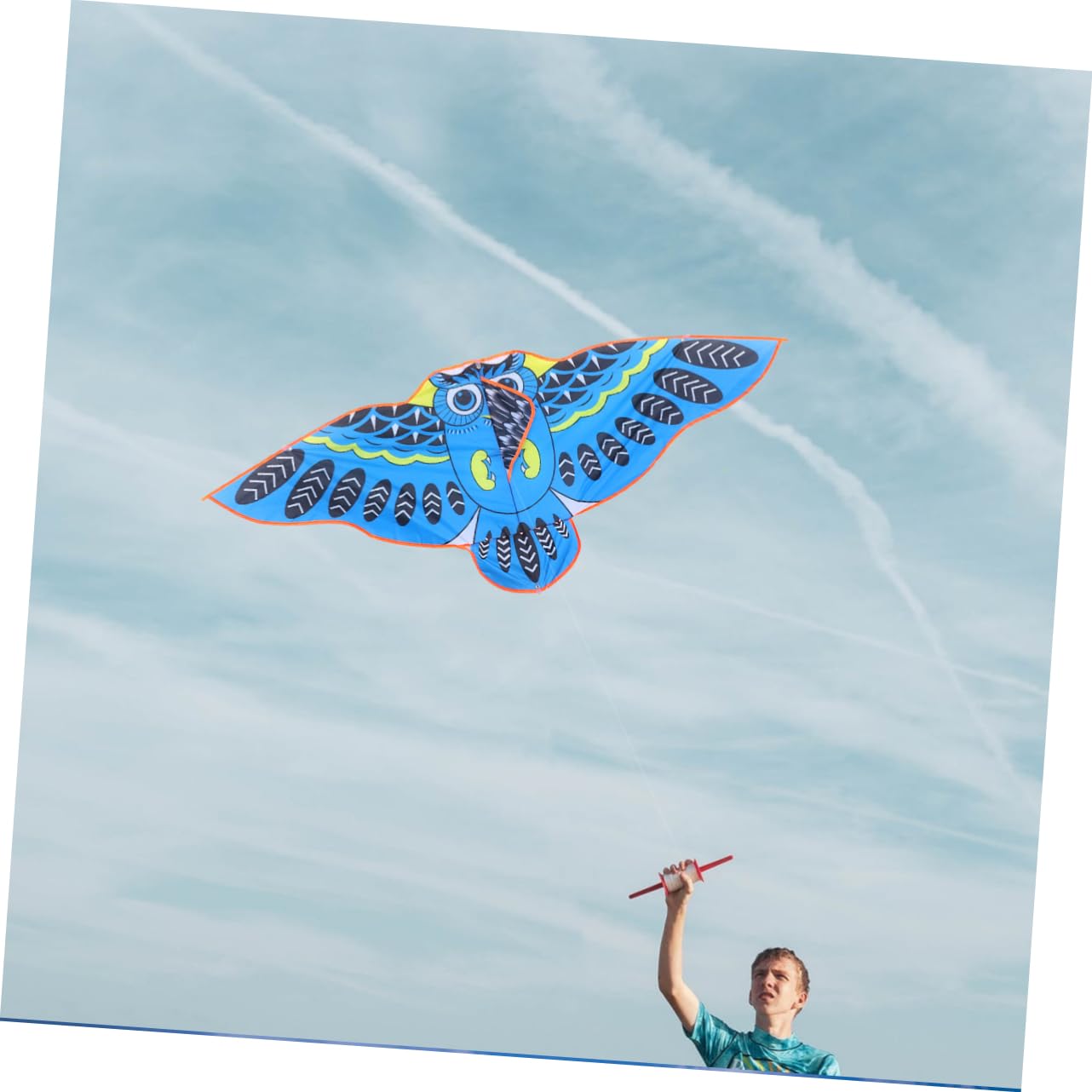 Toyvian 2pcs Cartoon Owl Kite Outdoor Kite Kites Outdoor Playing Beach ’s Owl Kites for Boys Random Color