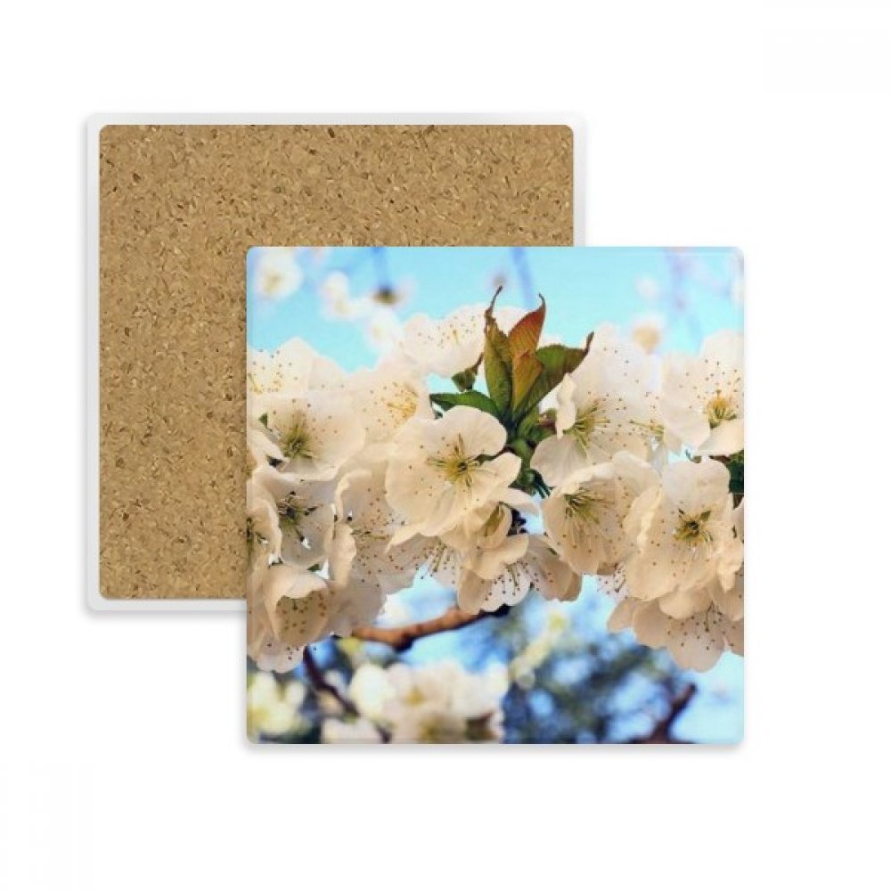 Belle coupe coaster fleurs blanches en pierre absorbante de boissons contre les taches
