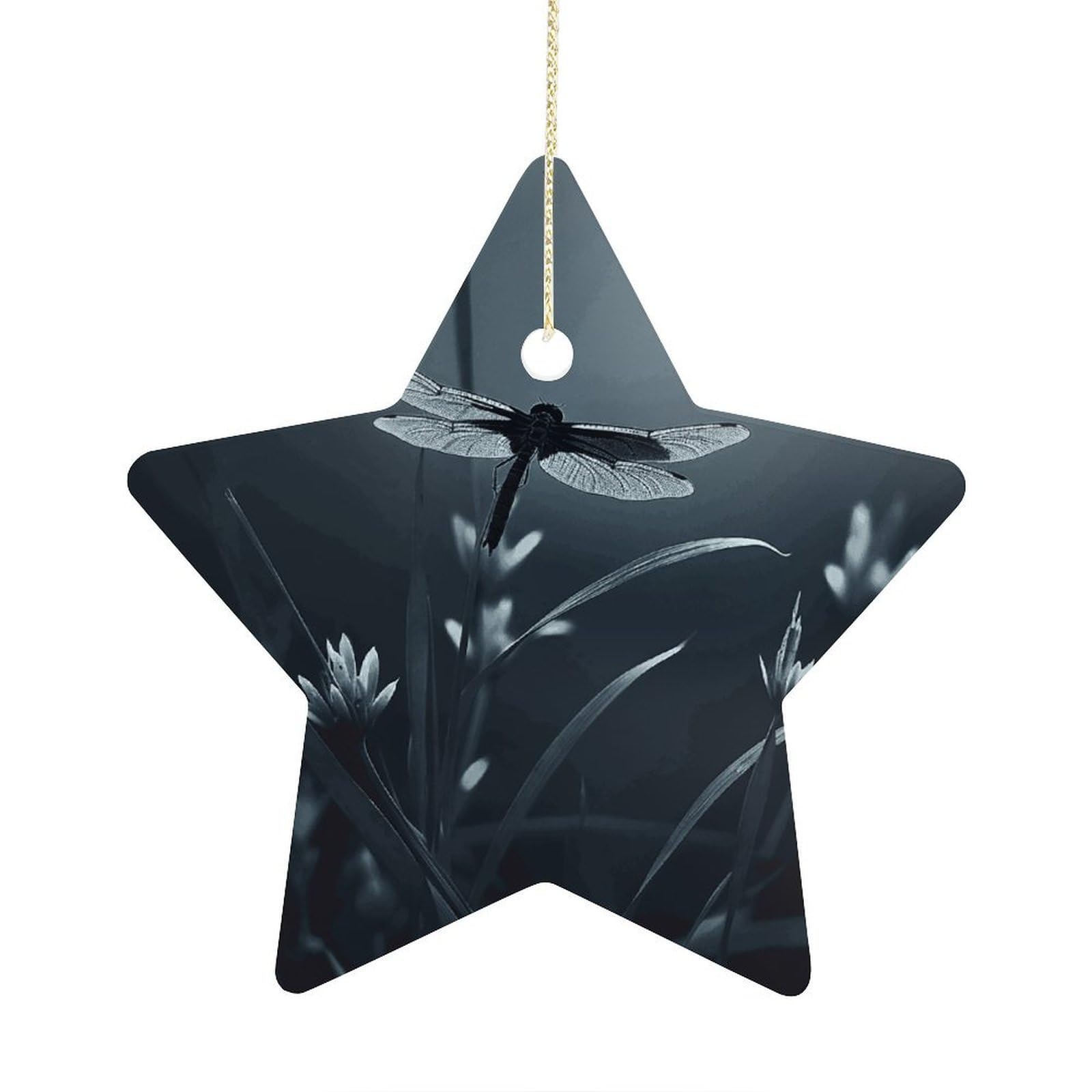 Fodpand Women's Style Dragonfly Silhouette Ornament With String, Keepsake Hanging Decorations,Ceramic Ornaments For Men Indoor Home Holiday Party Gifts