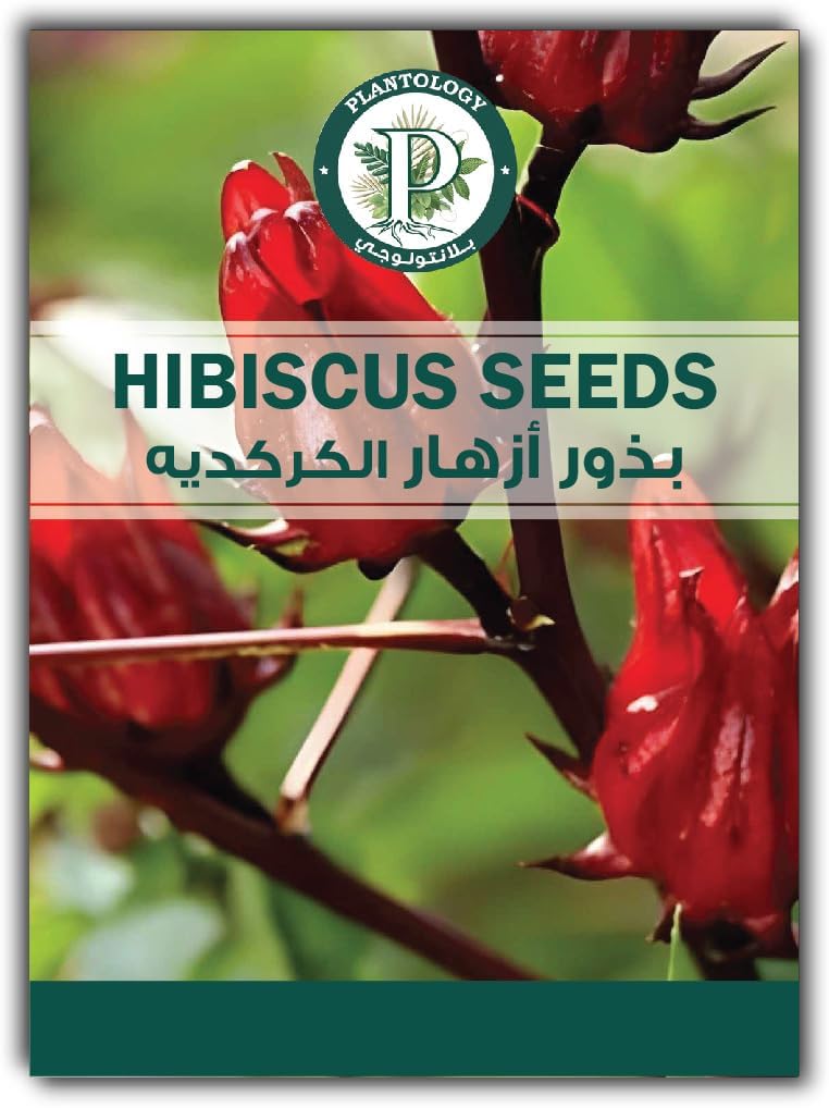 Hibscus Seeds for Planting - Hibscus Seeds for Planting in Garden