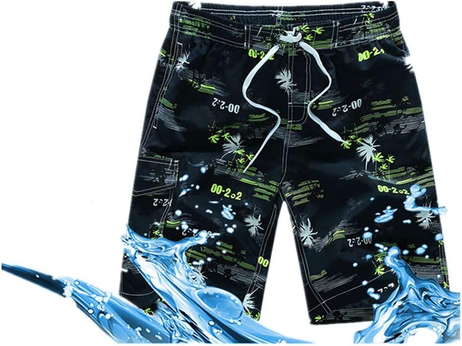 スポード ブルールーム コレクション2枚 希少品】スポード・ブルー