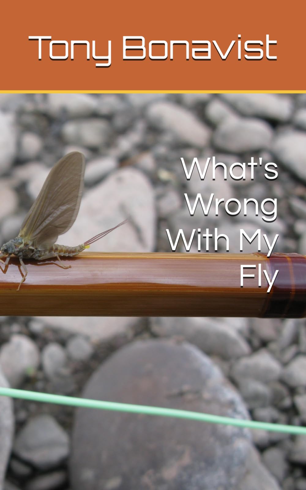 What's Wrong With My Fly