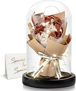 DINGHENG Rosa eterna en tarro con LED marrón claro, ramo de rosas de color marrón claro, regalo para mujeres, decoración del hogar, flores reales duraderas para novia, Navidad, día de San Valentín,