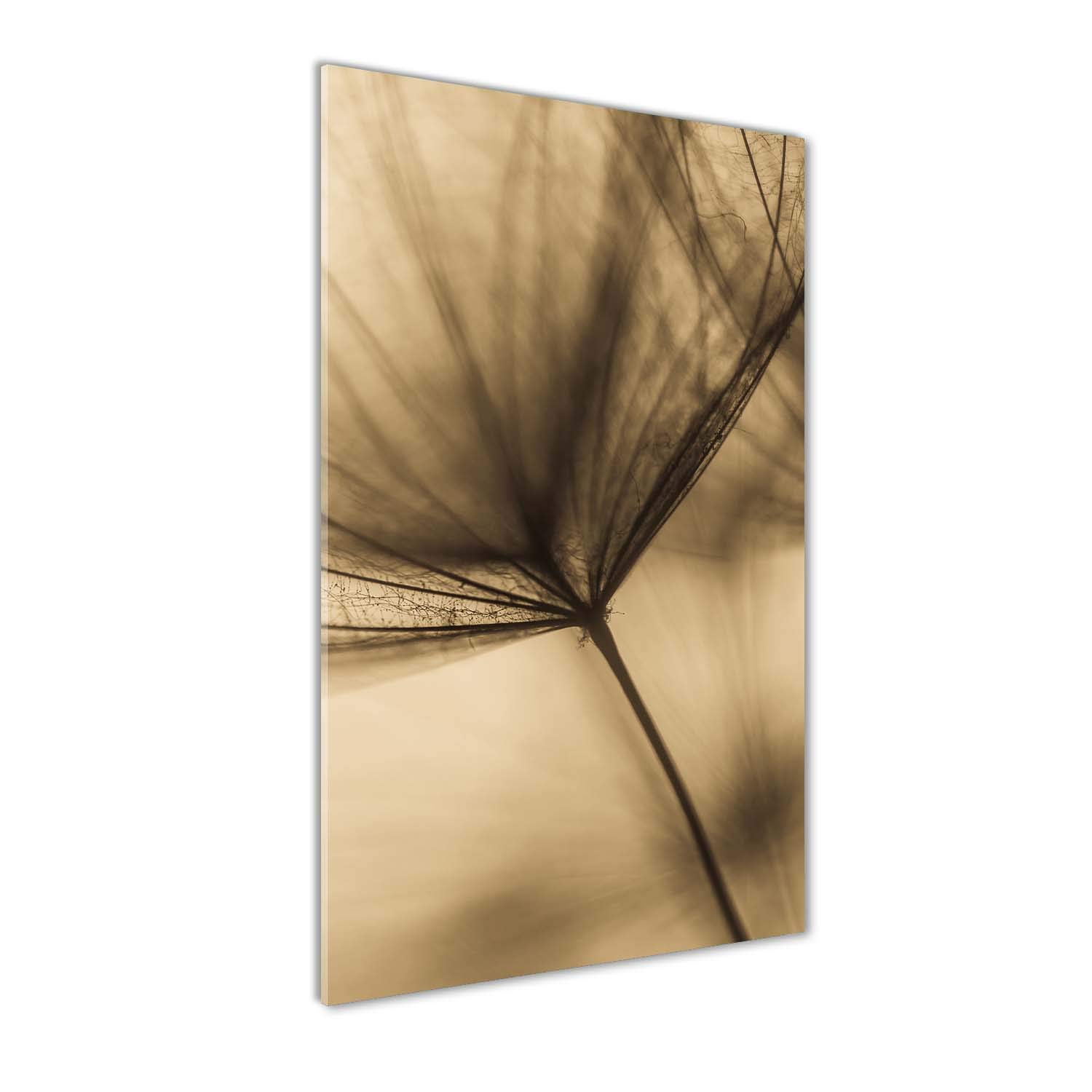 Tableau photo panoramique impression sur verre 60x120 fleurs pissenlit beige salon