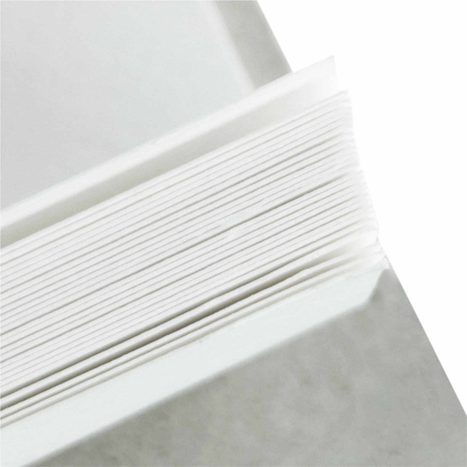 Anupam 100% bawełniana podkładka papierowa akwarelowa - naturalna biel - szorstki papier prasowy - 250 g/m2 - A3